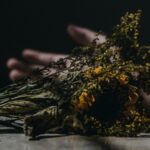 psychologyzine.com - thanatophobia, fear of death